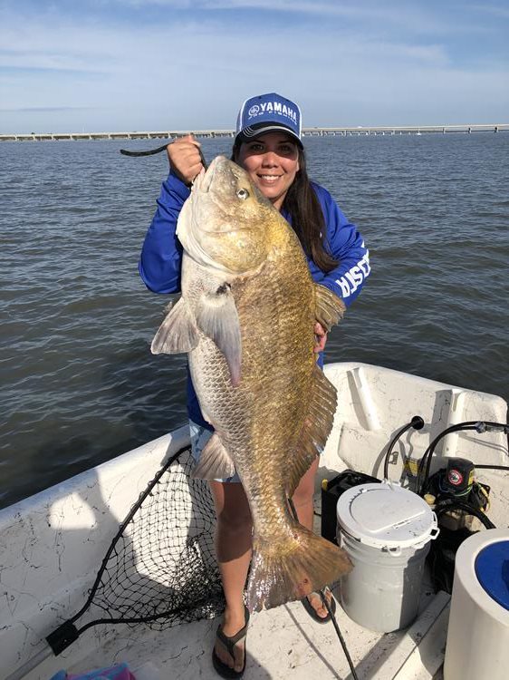 Christine Jacobson has all the rights to brag after catching her very first black drum Life List addition.  [Photo courtesy FWC]
